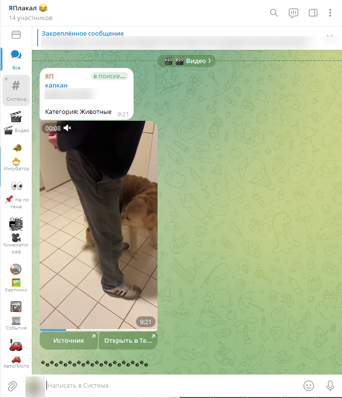 Telegram-канал с материалами, автоматически распределёнными по разделам